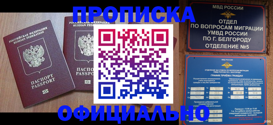 найти адрес прописки в Камызяке